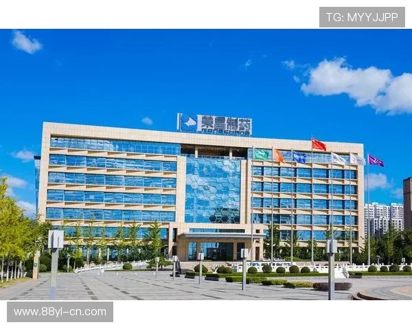 K8视讯集团：引领行业创新的发展战略分析